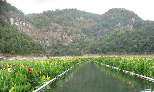 温州珊溪水库水源地保护-湿地一体化工程