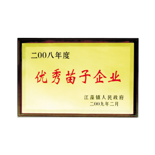2008年度优秀苗子企业